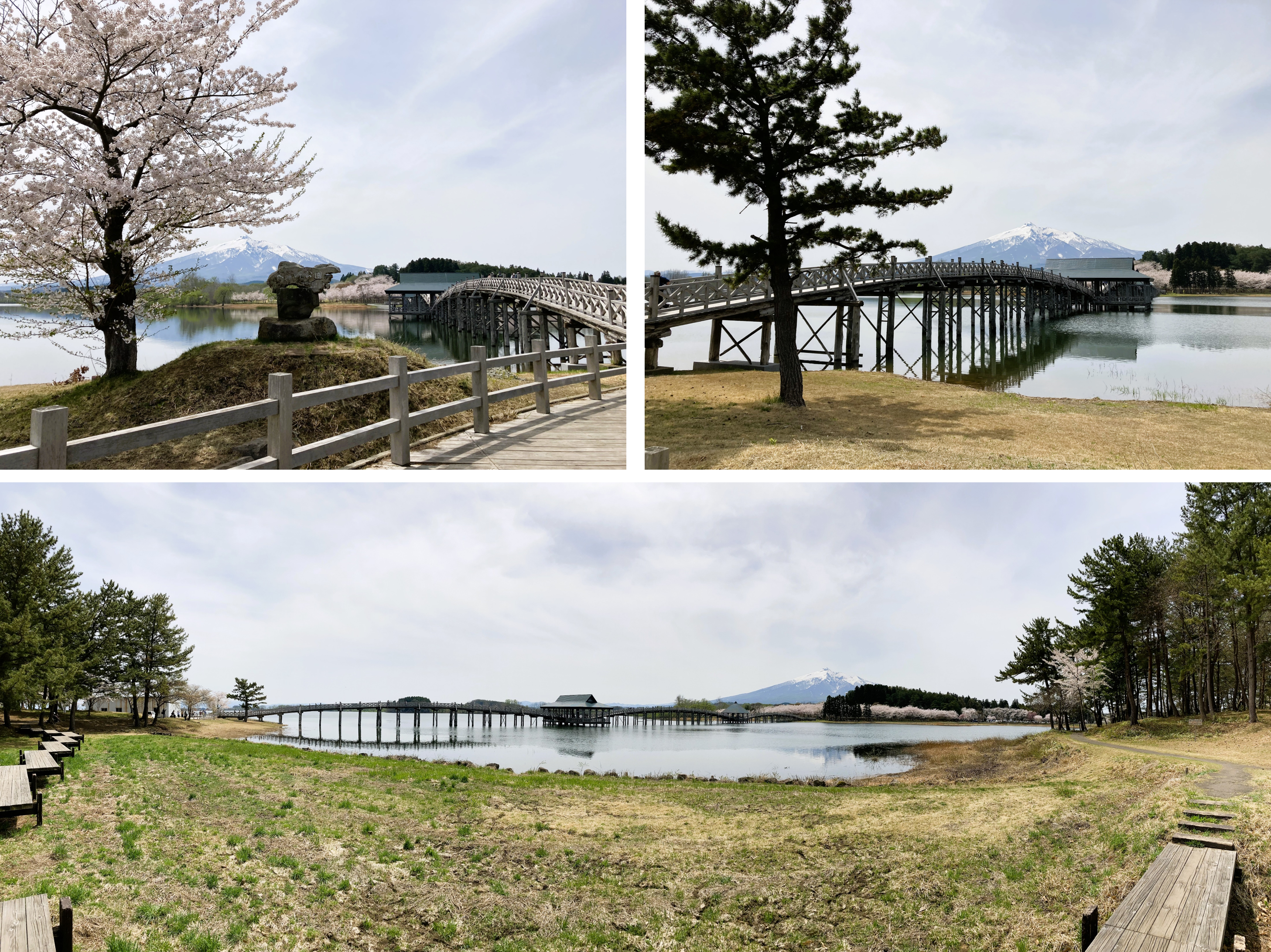 鶴の舞橋は津軽富士見湖に架けられている!鶴田町の観光名所「鶴の舞橋」は、「富士見湖パーク」に隣接した「津軽富士見湖」に架けられています。鶴田町のシンボルとして多くの人々に愛され、訪れる旅行客に人気の観光地です。こちらのページでは、「鶴の舞橋」や「津軽富士見湖」「富士見湖パーク」への行き方(アクセス方法)についてご案内しています。車が無い方でも安心!鶴田町の観光はタクシーで自由自在!電車の到着時刻にあわせてJR陸奥鶴田駅ではタクシーが待機しております。運転手とおしゃべりして地元(ローカル)の情報をGETできるのもタクシーの魅力。富士見湖パークのあとは美味しいお料理のお店へ行ってみましょう。