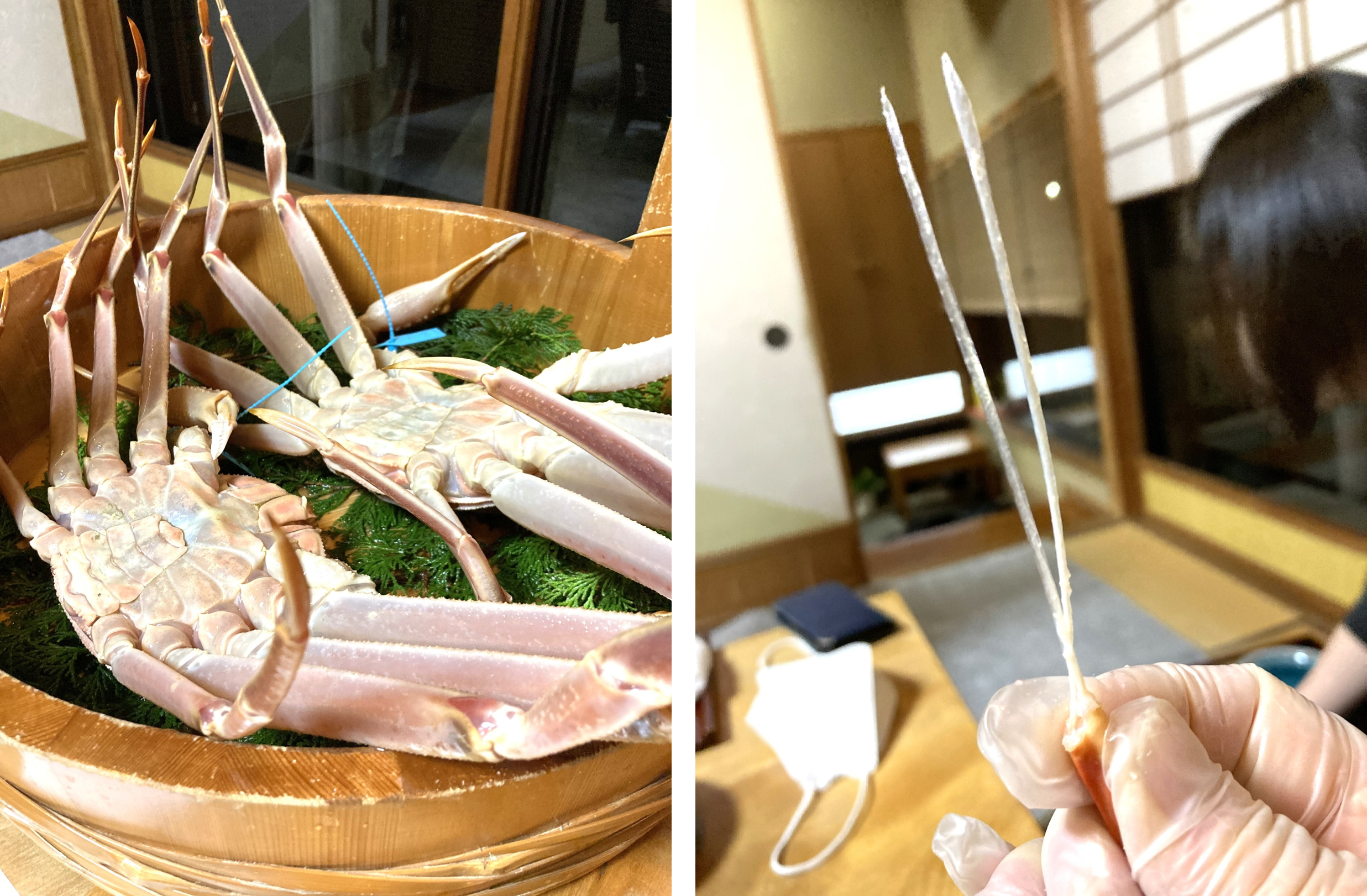 小松市の「料亭 新保」で極上の蟹を食す旅!加能ガニの最高峰「輝(かがやき)」香箱ガニの最高峰「輝姫(かがやきひめ)」のご案内。石川県下一円のズワイガニ漁師が自信をもって送り出す加能ガニ「輝」・香箱ガニ「輝姫」。全国トップクラスの厳しい基準を満たしたカニだけが冠する事を許された称号です。その希少性は解禁日の水揚げさえ確約されないほどですが、まさに類を見ない品質の高さを誇ります。目を見張るほど大きな脚には、その品格に見劣りしない高級感をまとったタグが付けられ、石川県が誇る海の幸の象徴として全国に送り出されます。