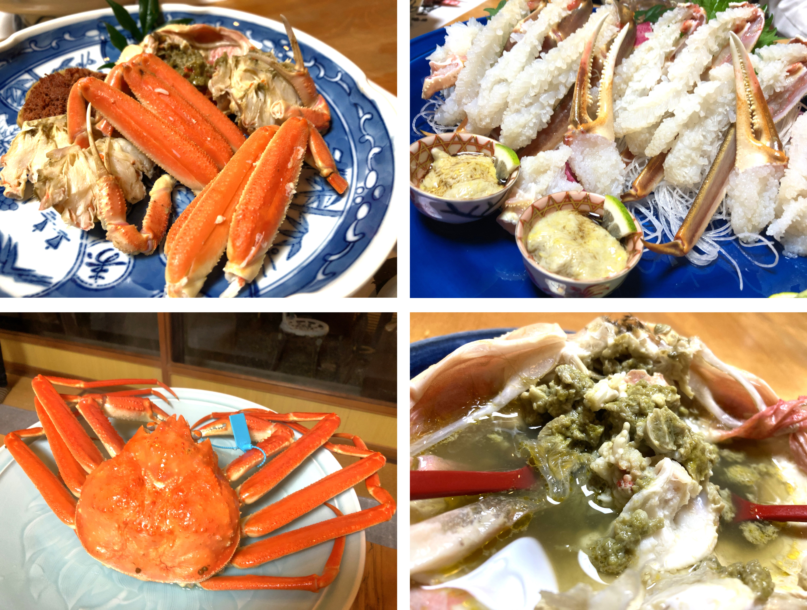 小松市の「料亭 新保」で極上の蟹を食す旅!加能ガニの最高峰「輝(かがやき)」香箱ガニの最高峰「輝姫(かがやきひめ)」のご案内。石川県下一円のズワイガニ漁師が自信をもって送り出す加能ガニ「輝」・香箱ガニ「輝姫」。全国トップクラスの厳しい基準を満たしたカニだけが冠する事を許された称号です。その希少性は解禁日の水揚げさえ確約されないほどですが、まさに類を見ない品質の高さを誇ります。目を見張るほど大きな脚には、その品格に見劣りしない高級感をまとったタグが付けられ、石川県が誇る海の幸の象徴として全国に送り出されます。