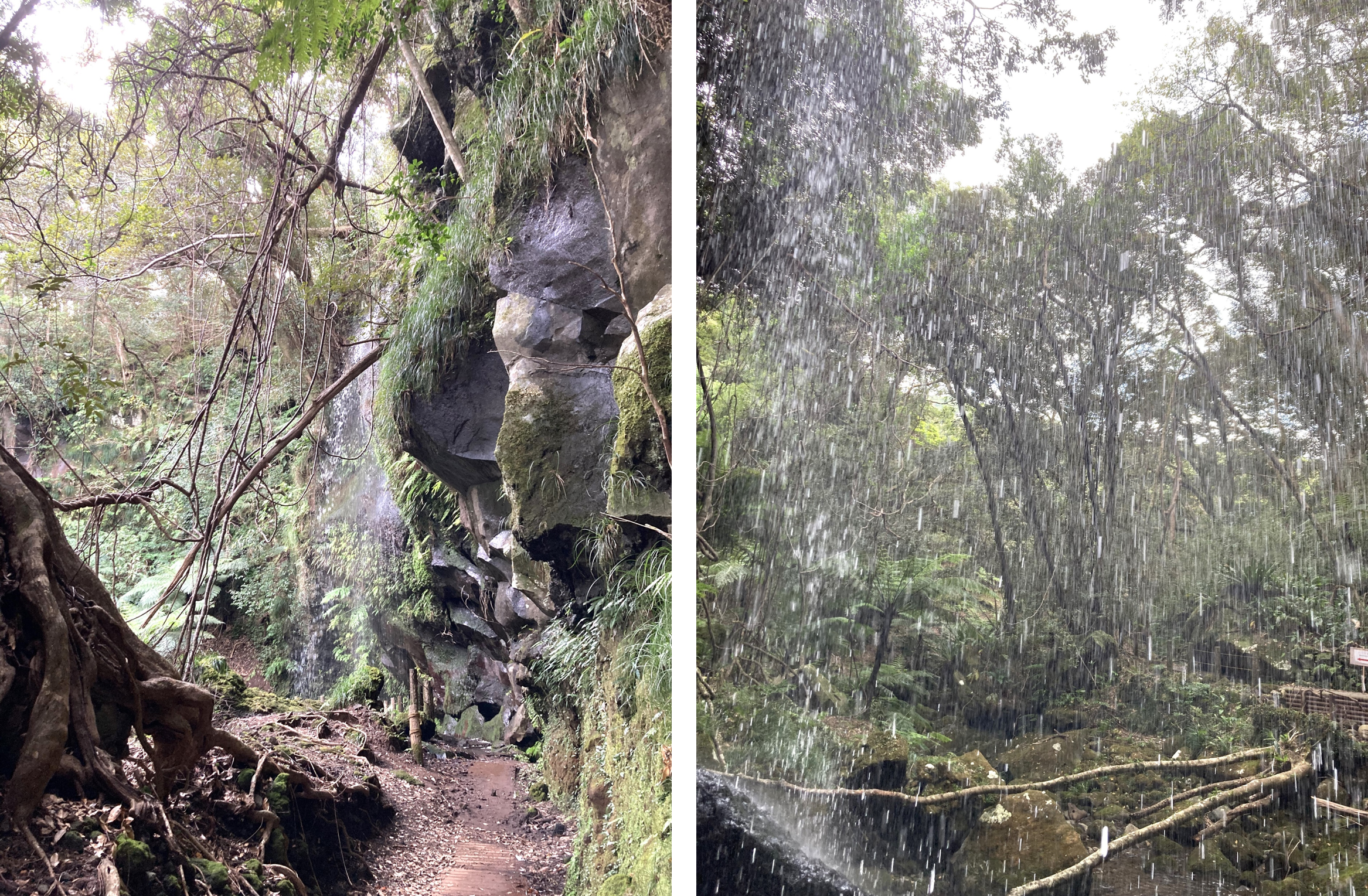 裏見ケ滝について：三原川が中之郷の水田用水路と交差するときにできる滝。「裏見ヶ滝」という名は、用水路沿いの道がこの滝の内側を通るため「滝を裏側から見る」という珍しい景観に由来しています。遊歩道脇の露天風呂は、山あいの景観もすばらしく人気を集めています。裏見ケ滝（うらみがたき）：三原川が中之郷の水田用水路と交差するときにできる滝。「滝を裏側から見る」というめずらしい景観から、「裏見ヶ滝」の名が付いた。光に透けた水がシャワーのように降り注ぐ光景は爽快そのもの。滝は、恐竜のいた時代を思わせるヘゴシダやフェニックス・ロベレニーの茂る亜熱帯ムード満点の遊歩道を、滝入口から5分ほど歩いたところにあり、ミニトレッキングが楽しめる。夏は、せせらぎの音と滝のしぶきでひんやりと涼を感じられる。遊歩道のスタート地点である滝入口そばには、入浴無料の裏見ヶ滝温泉(要水着着用。混浴)がある。住所：東京都八丈町中之郷、TEL：04996-2-1125 （八丈町産業観光課）、営業時間：見学自由、定休日：見学自由、料金：見学自由、アクセス：公共交通：八丈島底土港→徒歩20分のバス停：神湊(かみなと)→町営バス坂上(末吉)行きで31～48分、バス停：中田商店前下車、滝まで徒歩15分(夏期は底土港経由のバスあり)。または八丈島空港→滝入口まで車で20分、下車後徒歩5分、駐車場：なし、裏見ヶ滝温泉（うらみがたき おんせん）：データ：住所：裏見ヶ滝温泉、アクセス：バス停「ザ・ブーン前」、営業時間：9:00～21:00、定休日：年中無休、クレジットカード：無し、料金：無料、その他：※男女混浴のため水着着用、せっけん・シャンプー使用不可、ホームページ：http://www.town.hachijo.tokyo.jp/onsen/uramigataki.html