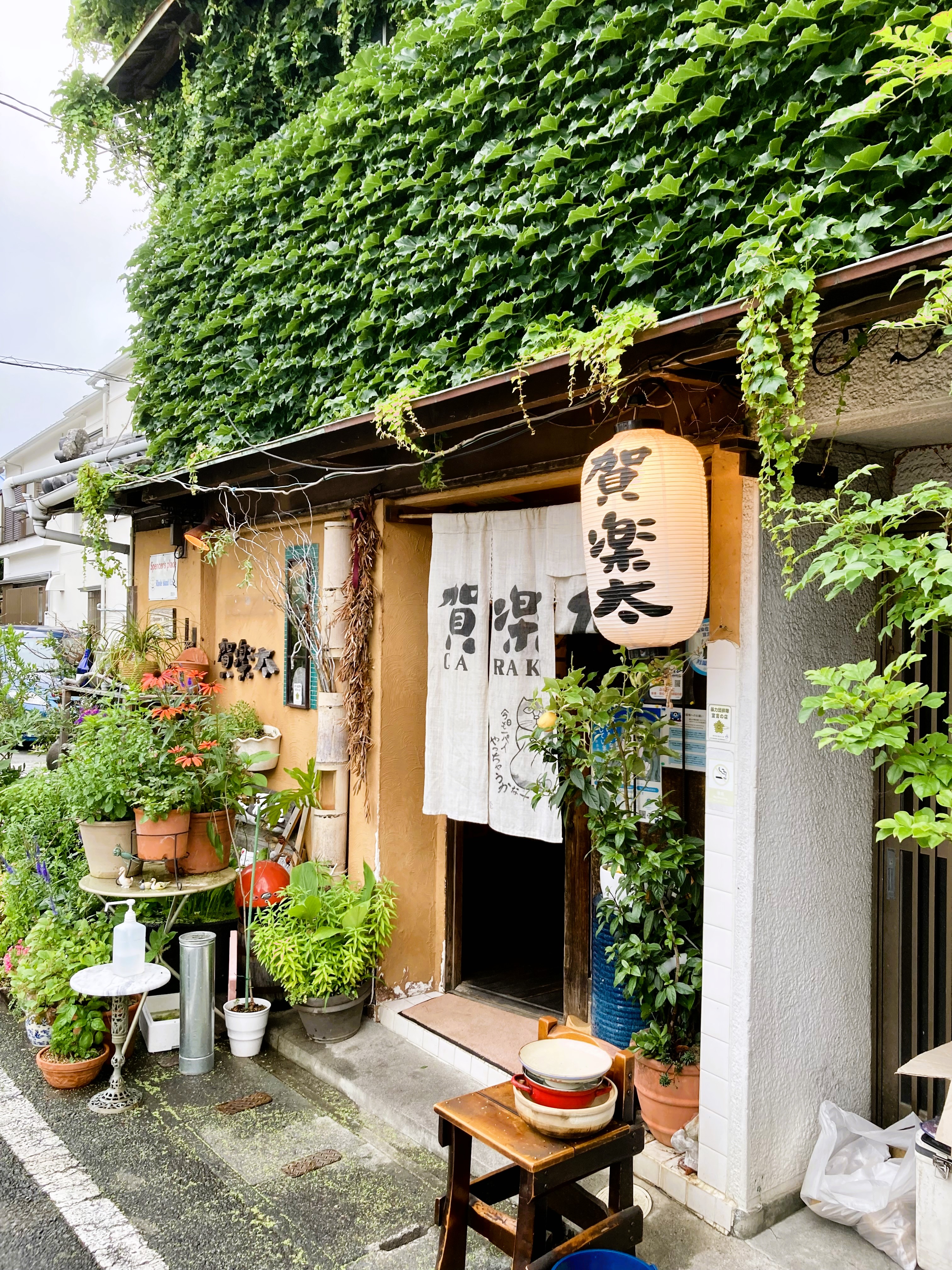 賀楽太：賀楽太居酒屋賀楽太は、伊豆急下田駅から徒歩圏内。 歩いて5~6分です。 下田駅前から続く並木通り、マイマイ通りの駿河銀行のところを曲がって少し歩くと左側に見えてきます。夜になるとお店の入り口にはちょうちんが灯ります。 可愛らしい少し小さいお店ですが、女性オーナーの経営する素敵な居酒屋です。 落ち着いた雰囲気の中、楽しくお酒を飲みたい方にはおすすめのお店です！